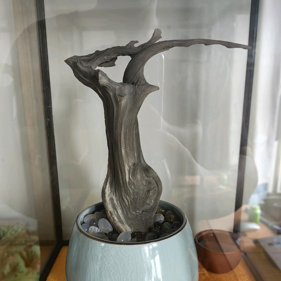 一起去看海1808