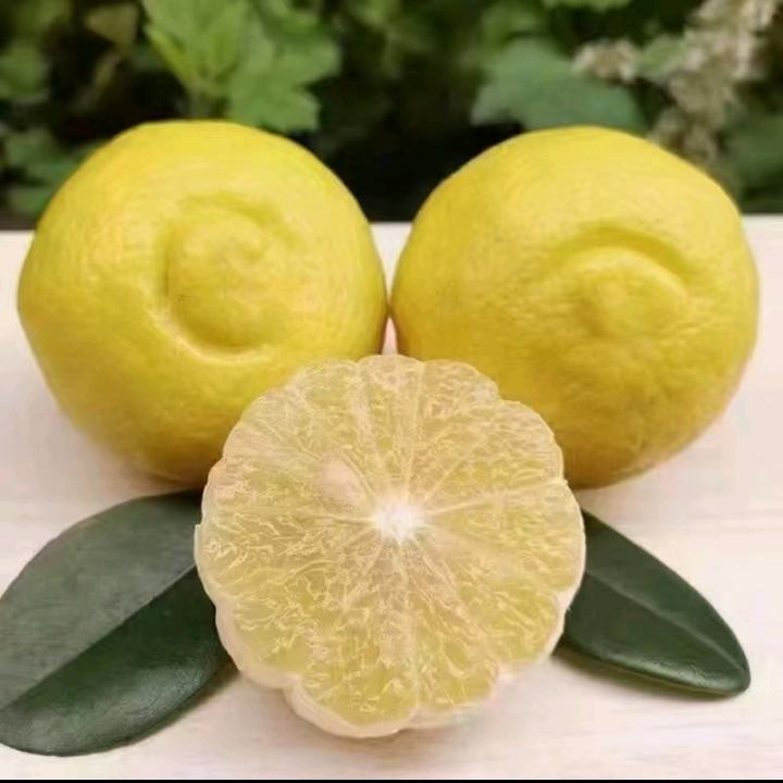 三月的桃花