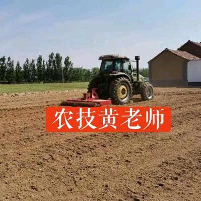 农技黄老师