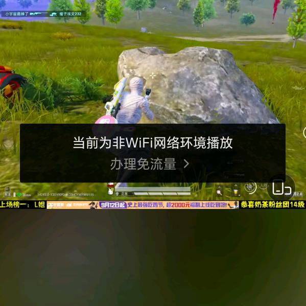 支生毛