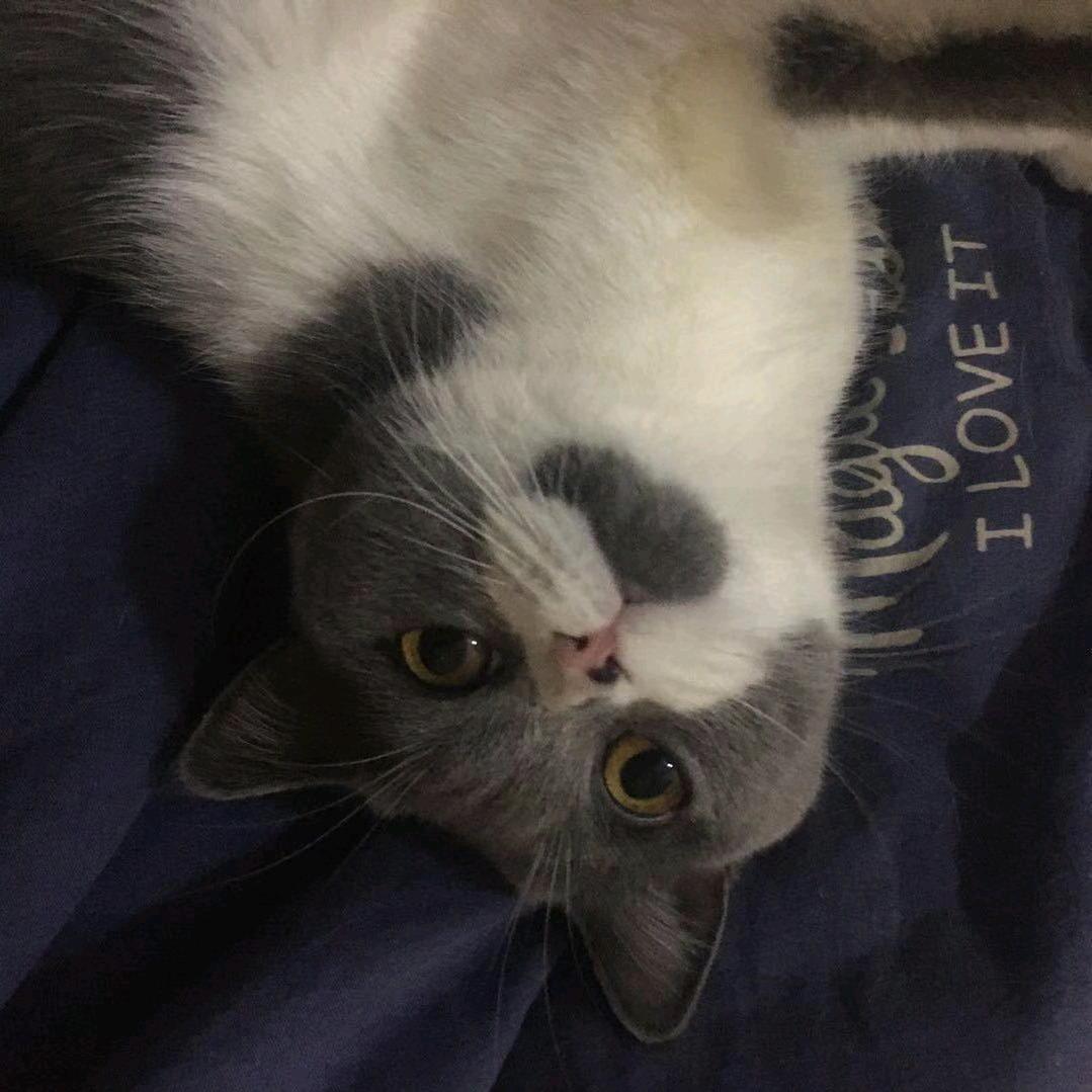 Soogsx