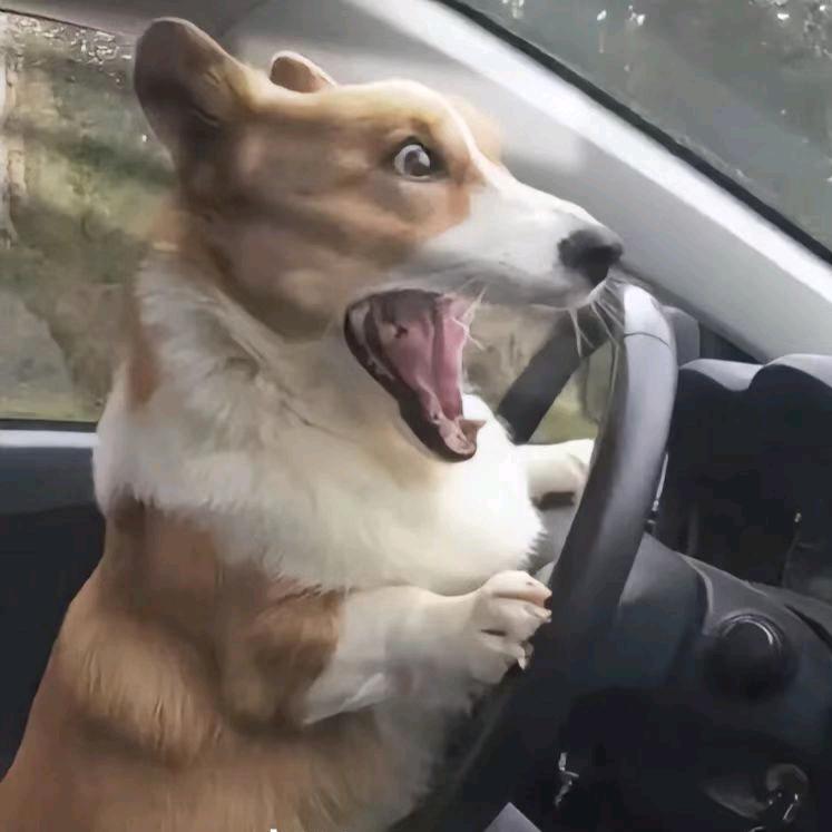 🌈ᝰꫛꪮꪮꫜᥫᩣ