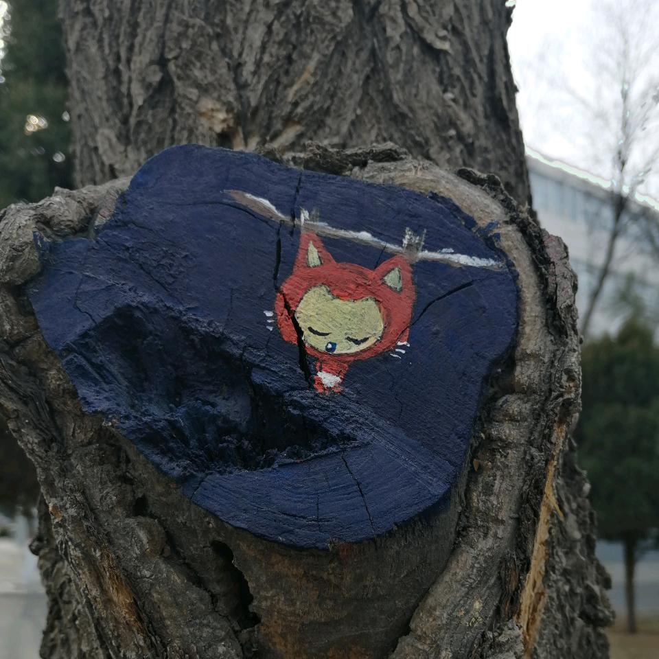 美剧忠实的粉丝