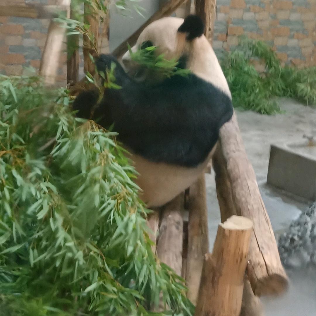秦姐