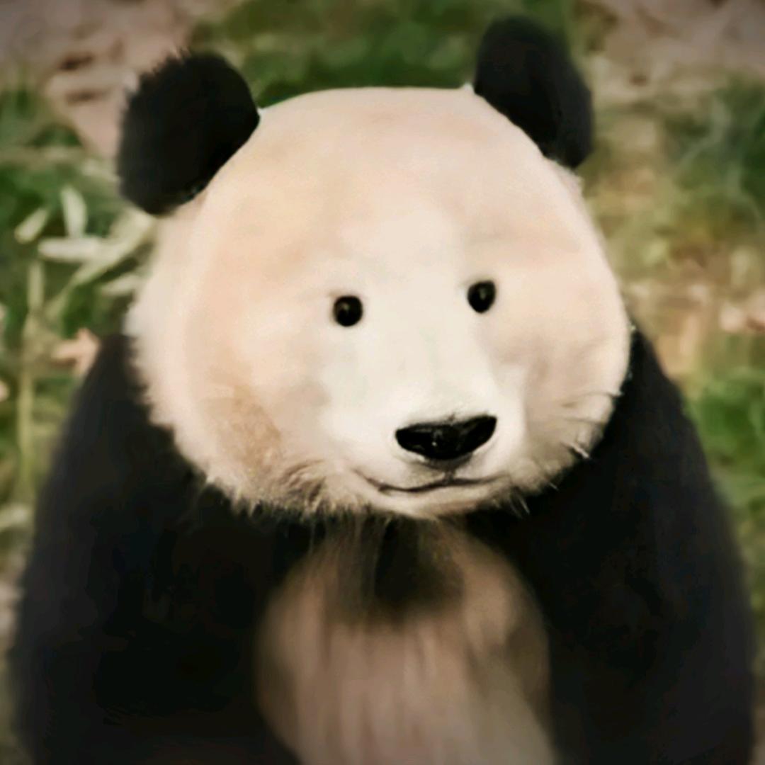 晓黎