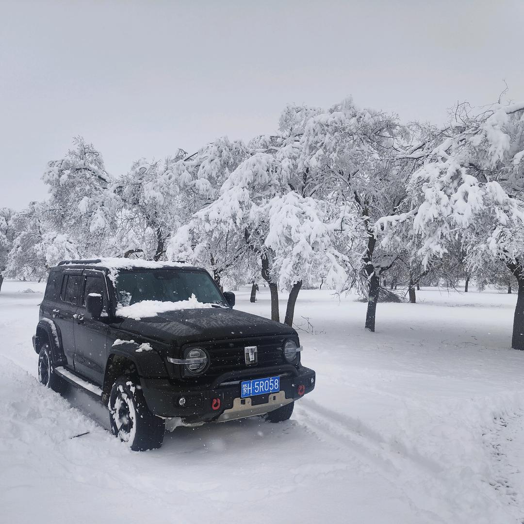 小李在沙地