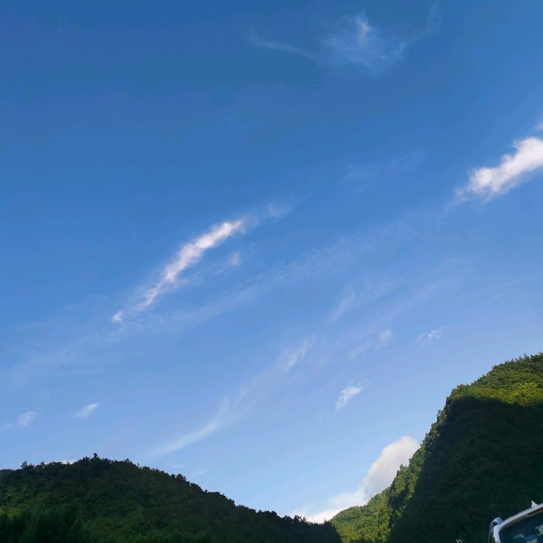 轩轩家
