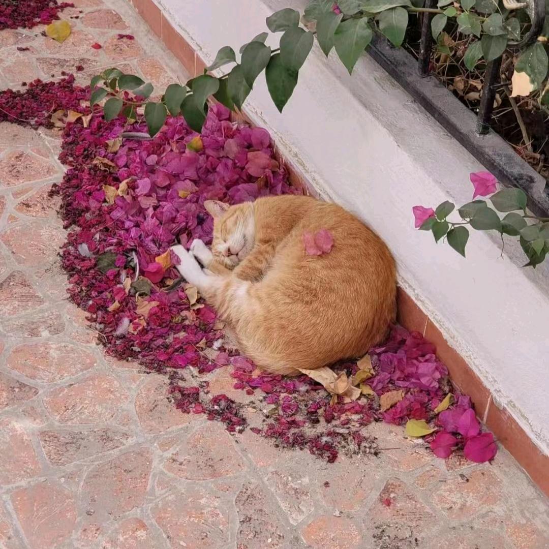 婉♥茹🌸