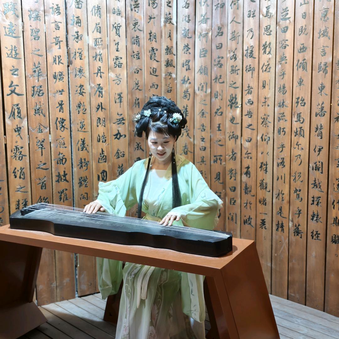 鸽子