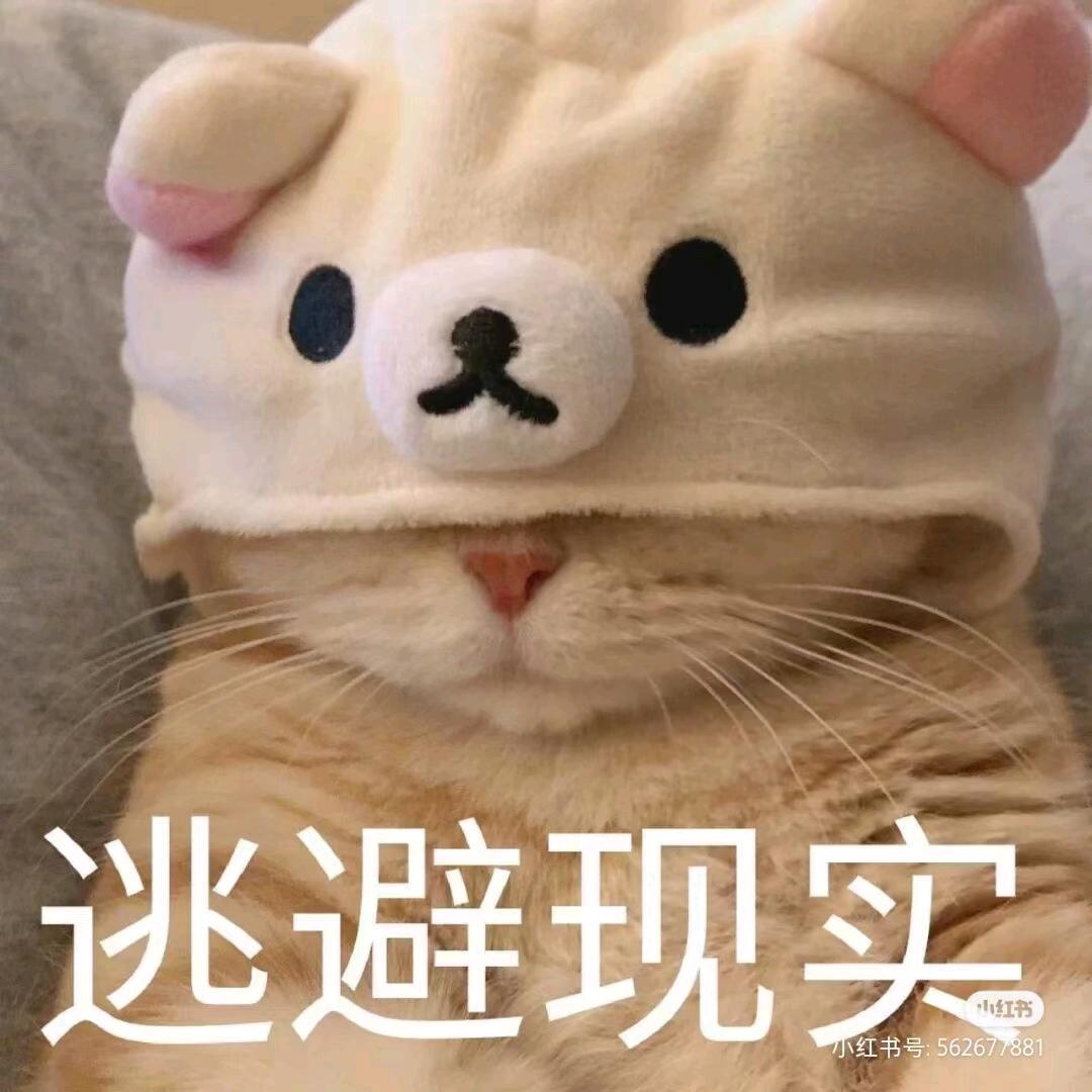 不知道叫啥🤔