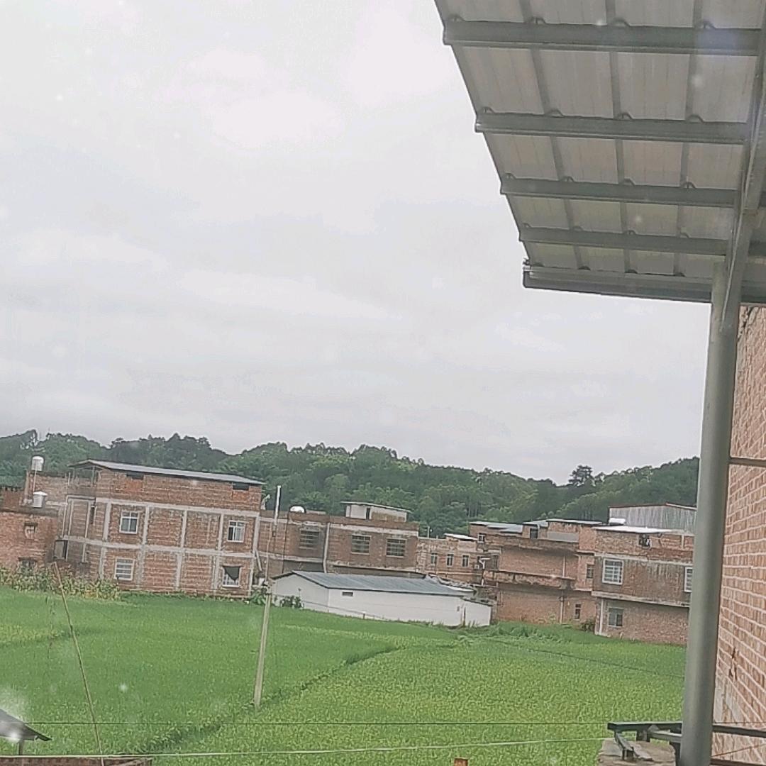 春哥