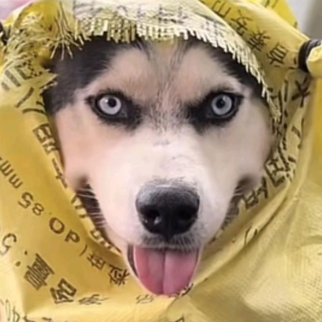 天也不懂情