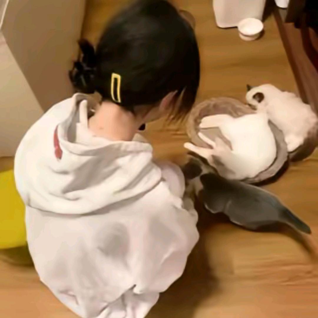 芽芽乐