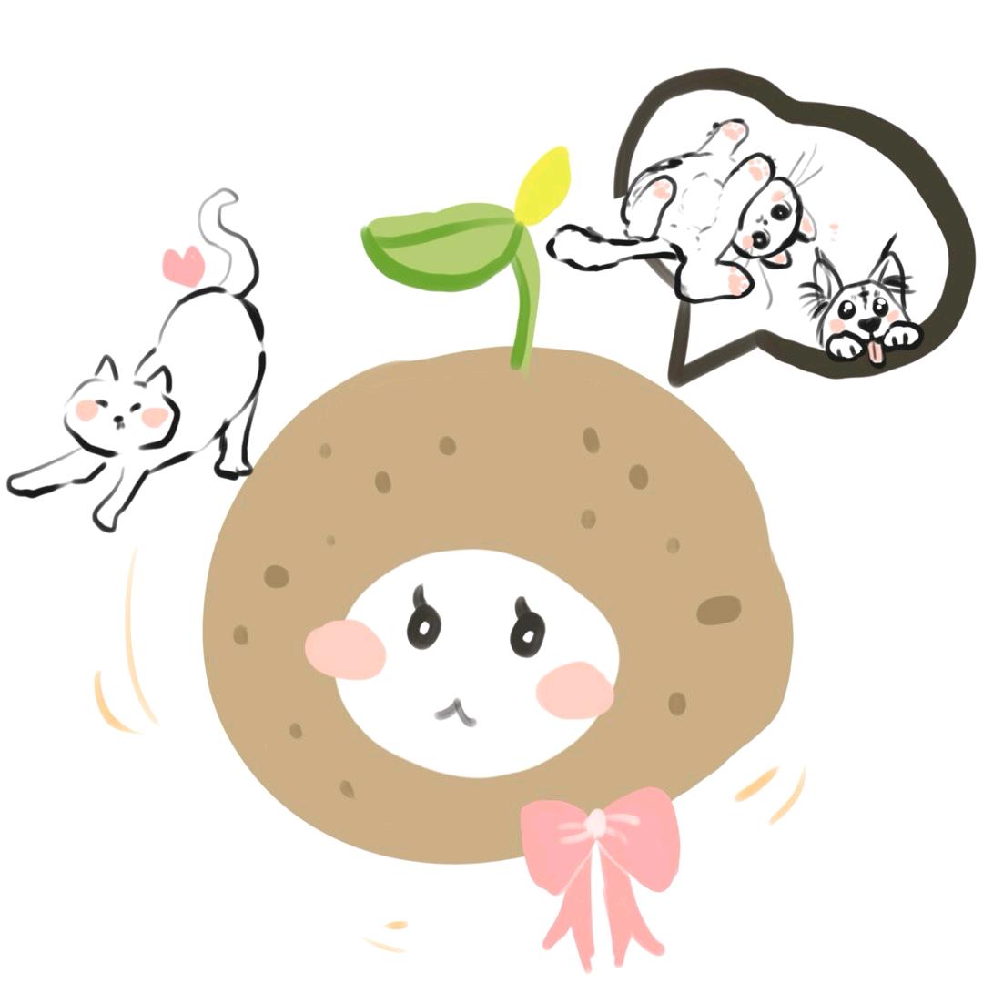 土豆烤肉