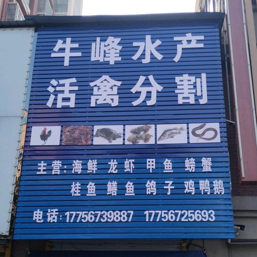 华侨城西门南400米牛峰水产活禽分割
