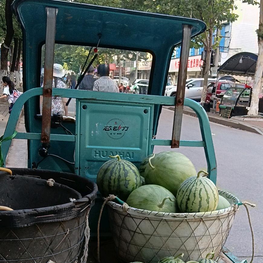 万丈湖农场婷婷