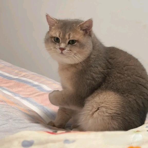 我在干嘛