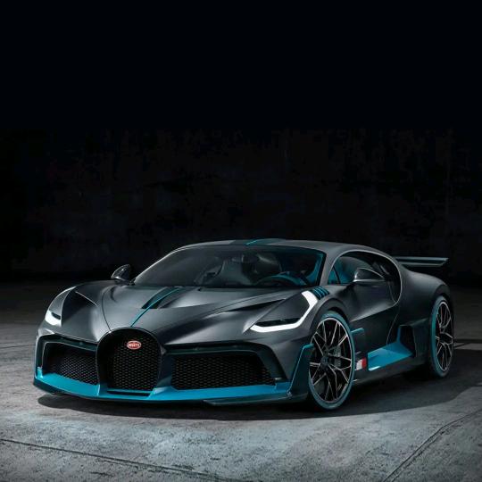 世界這麽海、淡定真不該