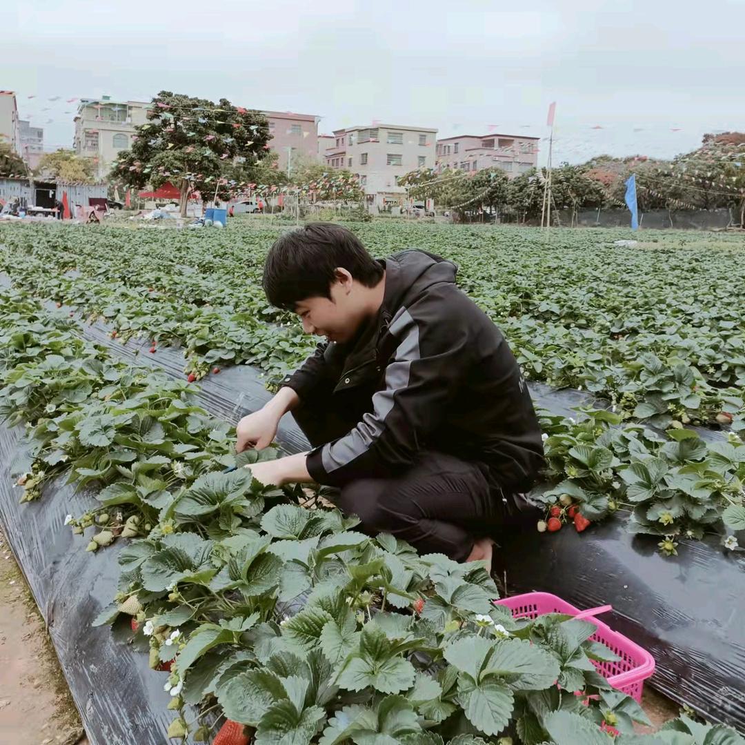 A龙果果