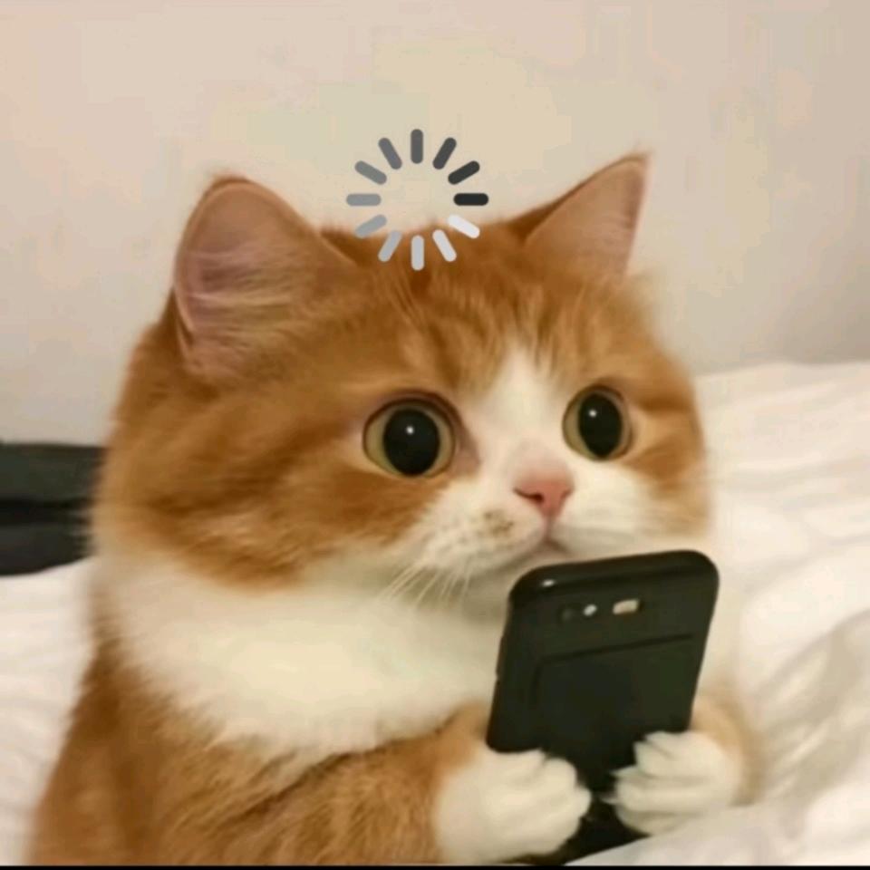 给小猪撑伞