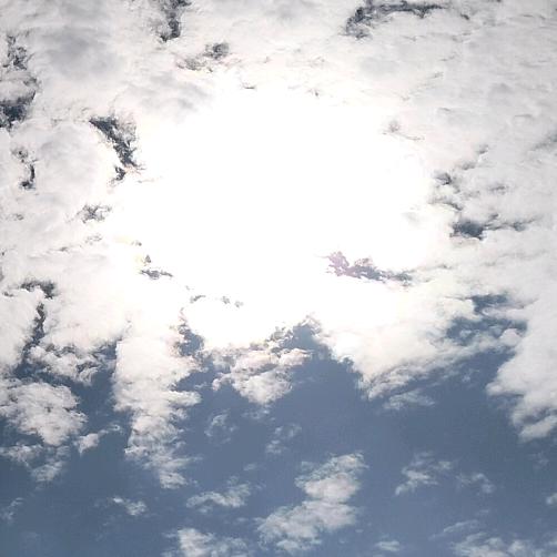 我名字有七个字