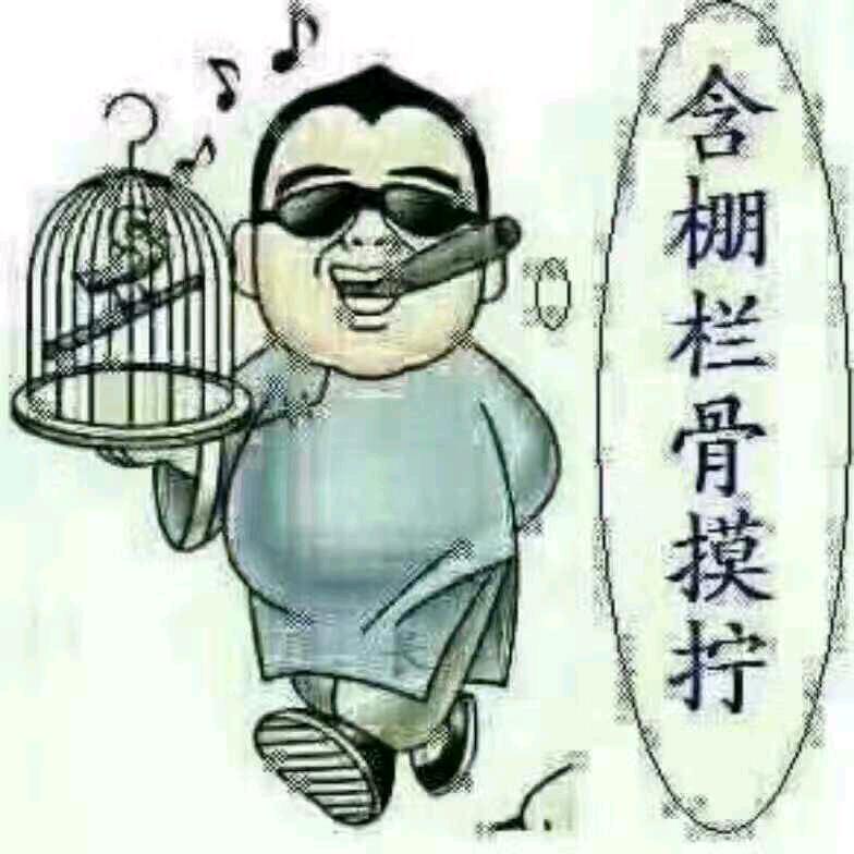 华南F6头像