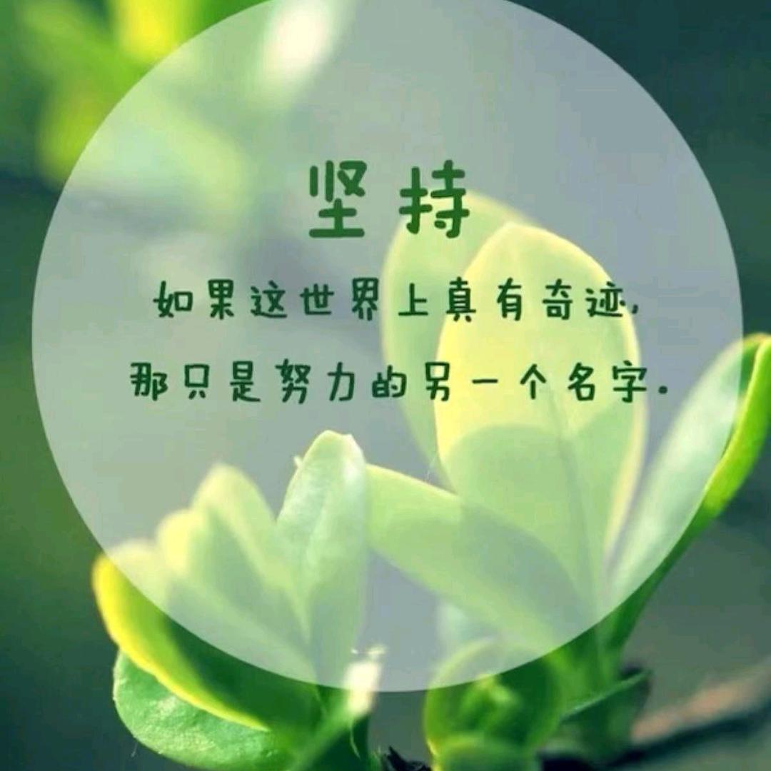 爱生活的新农人