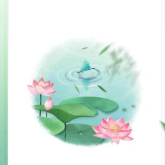 蕾奶奶