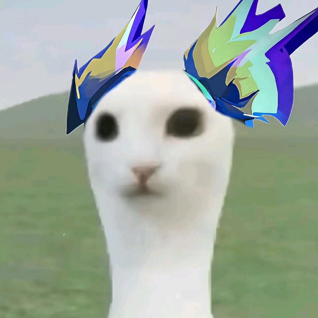 如果帅是一种天赋