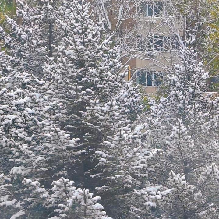 永 远 不 老 的 男 神  🐮海 洋