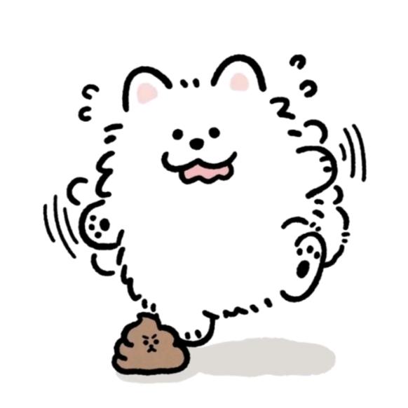 🥕脆萝卜🐰