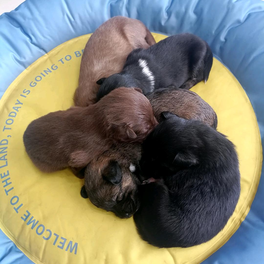 杨先生发型设计工作室