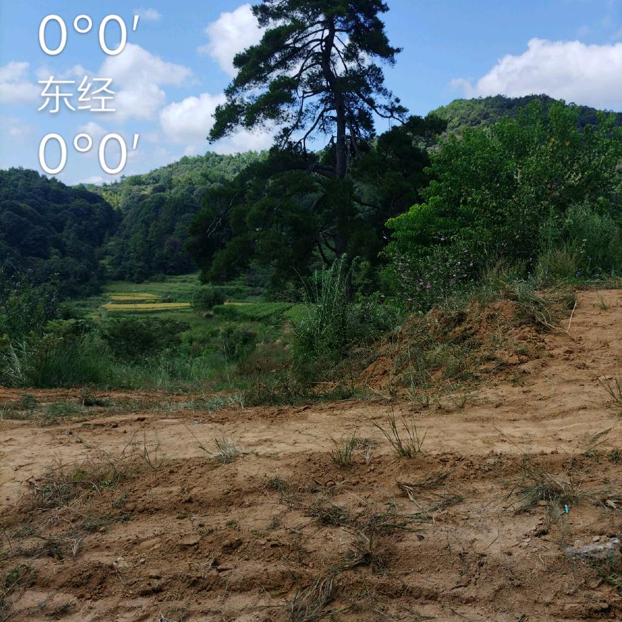 不一样