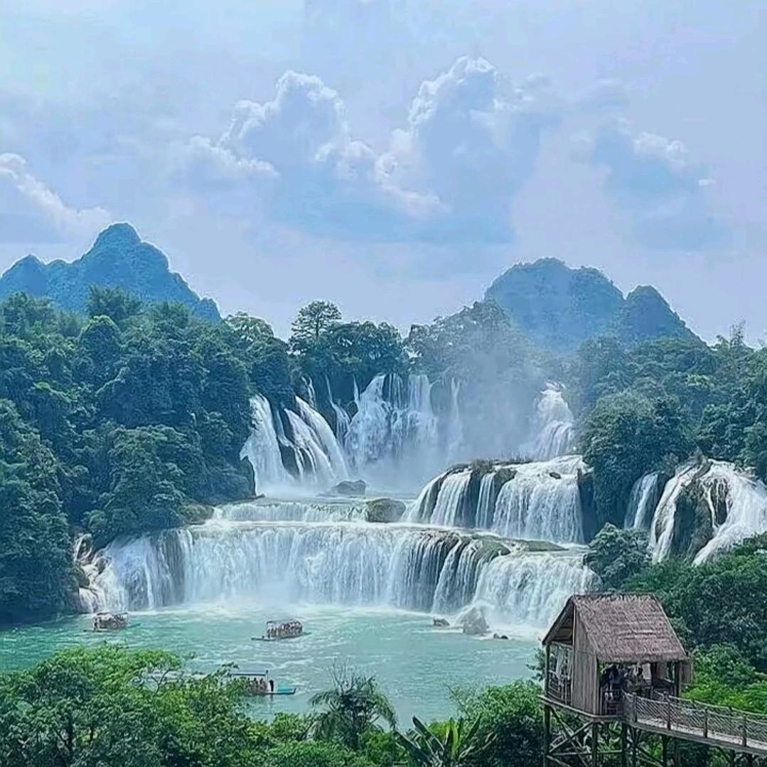 百变大咖🌴🌲🌿
