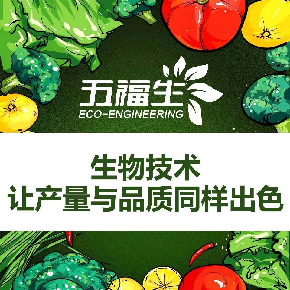 张志勇