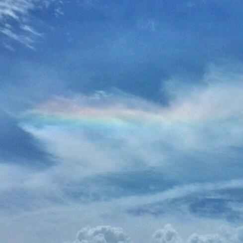 爱跑步的小说家