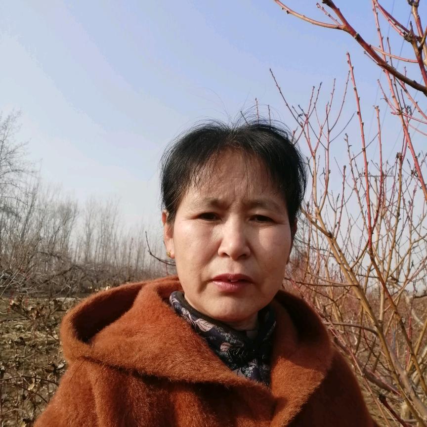 银儿姐，早晨（8点8分）聊天直播