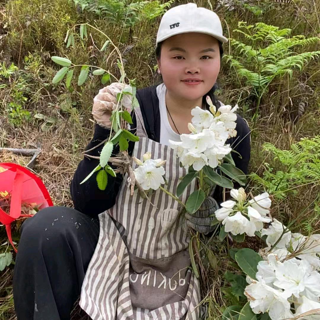 壮族采草人、小何