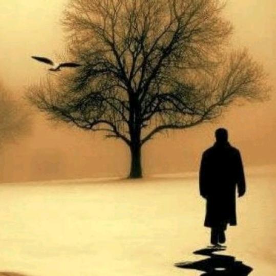 დ᭄♡̶҉汤~圆꧔ꦿ℘⸙