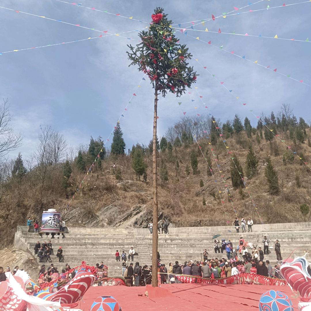 小虎三