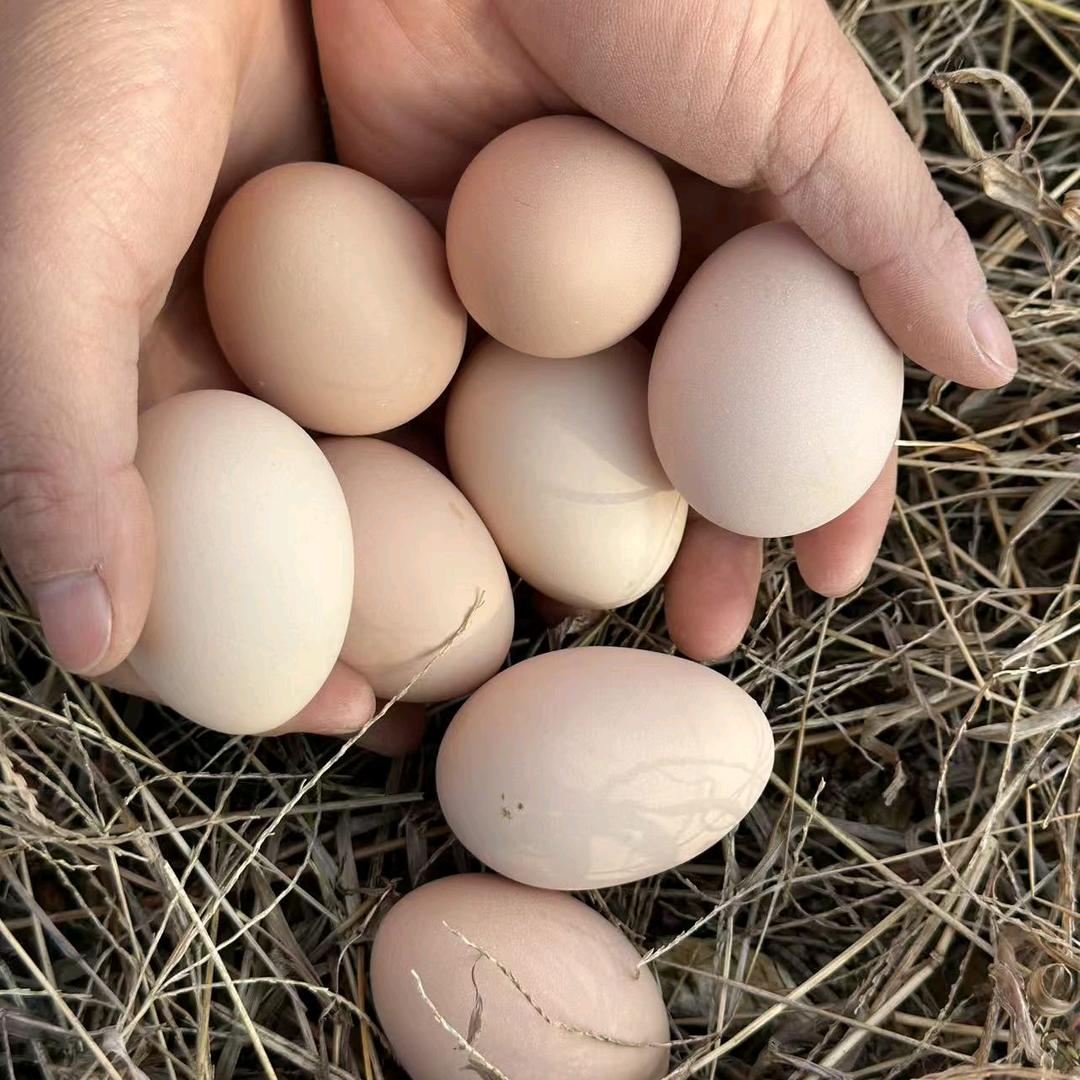 鲜选优品生活坊