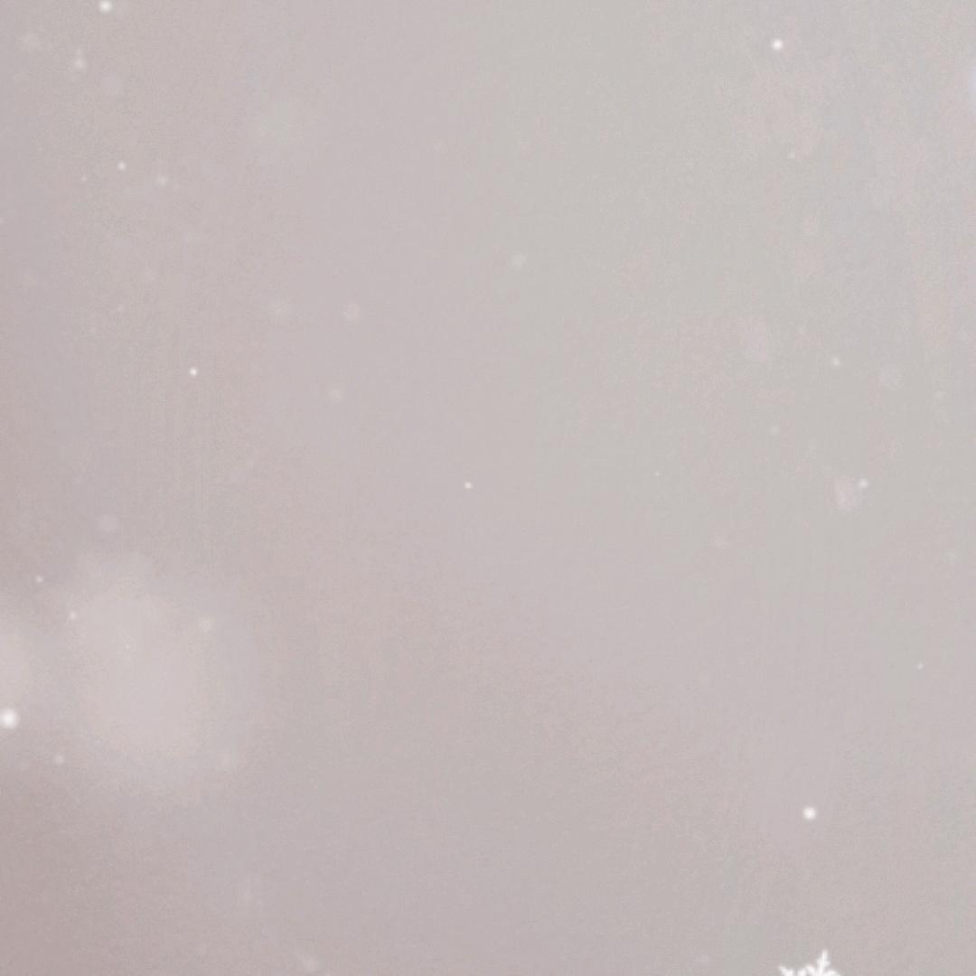 一个低调的用户