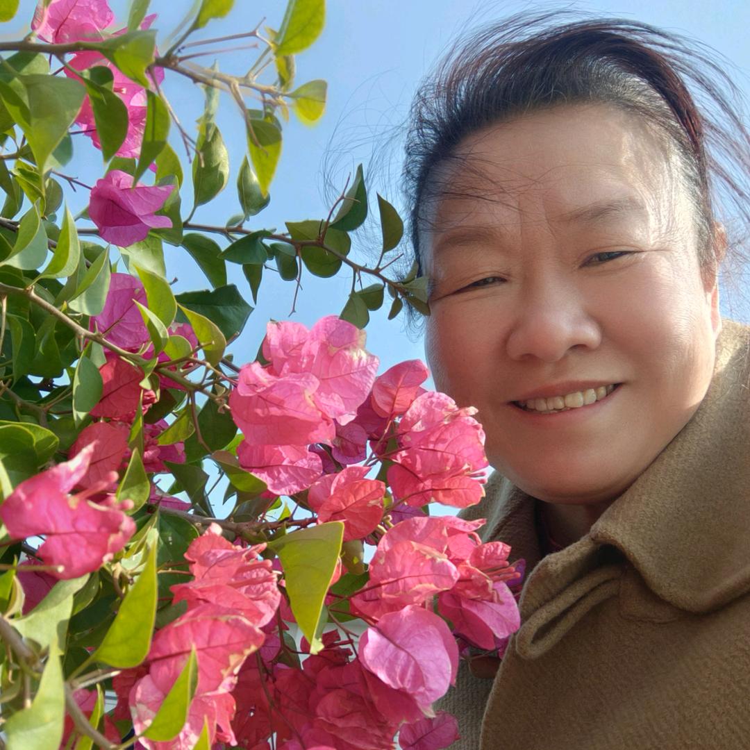 茶农，周华，汤氏，汤醇一品