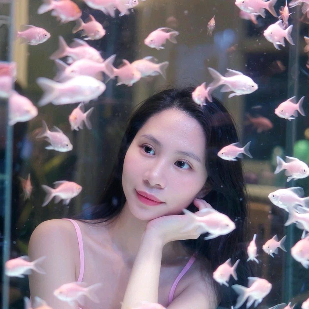 ✨盈盈