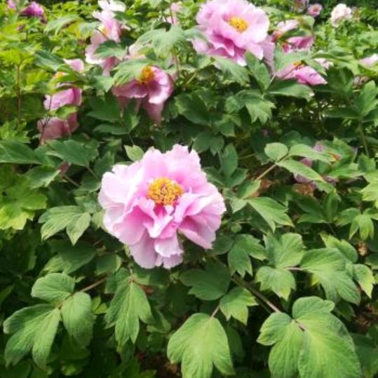 看透人心《拒私聊》