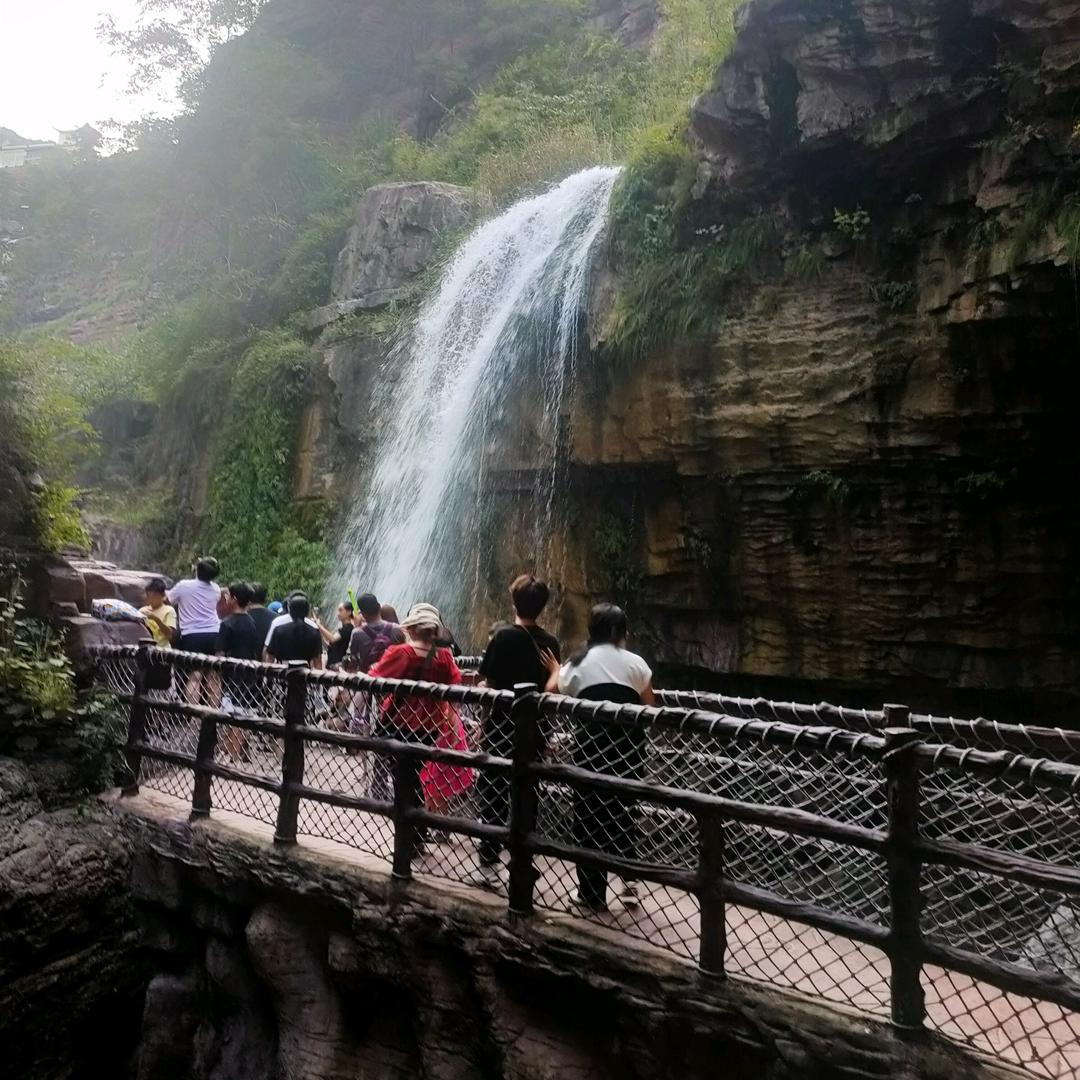 小燕子好物