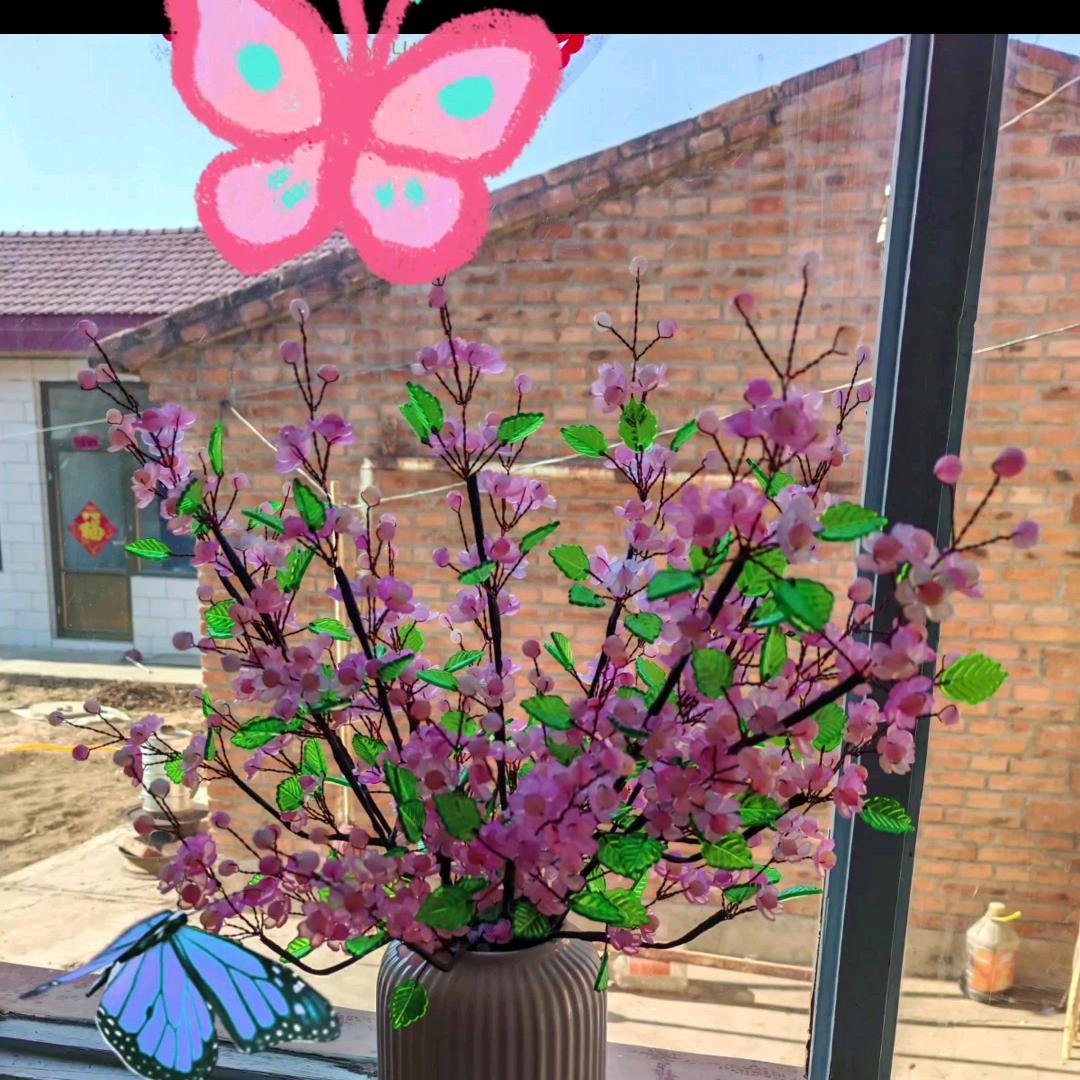 忘忧草❤️手工