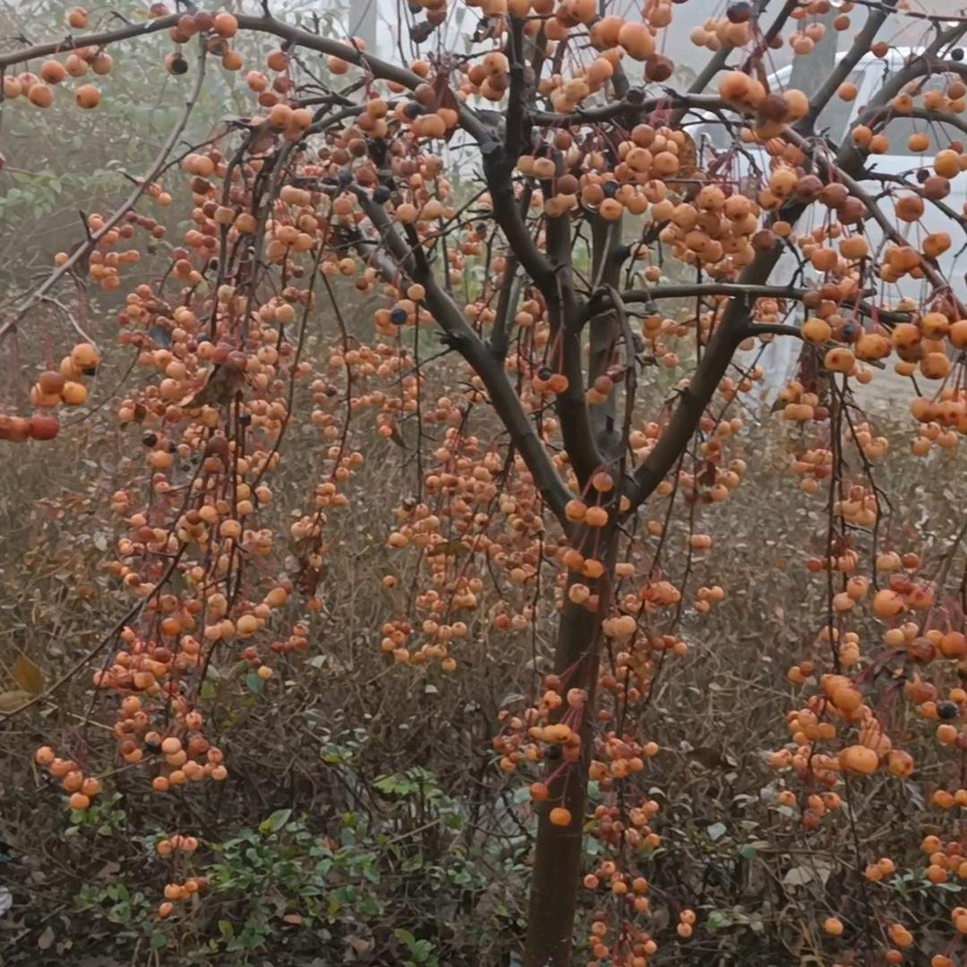 碧水蓝天