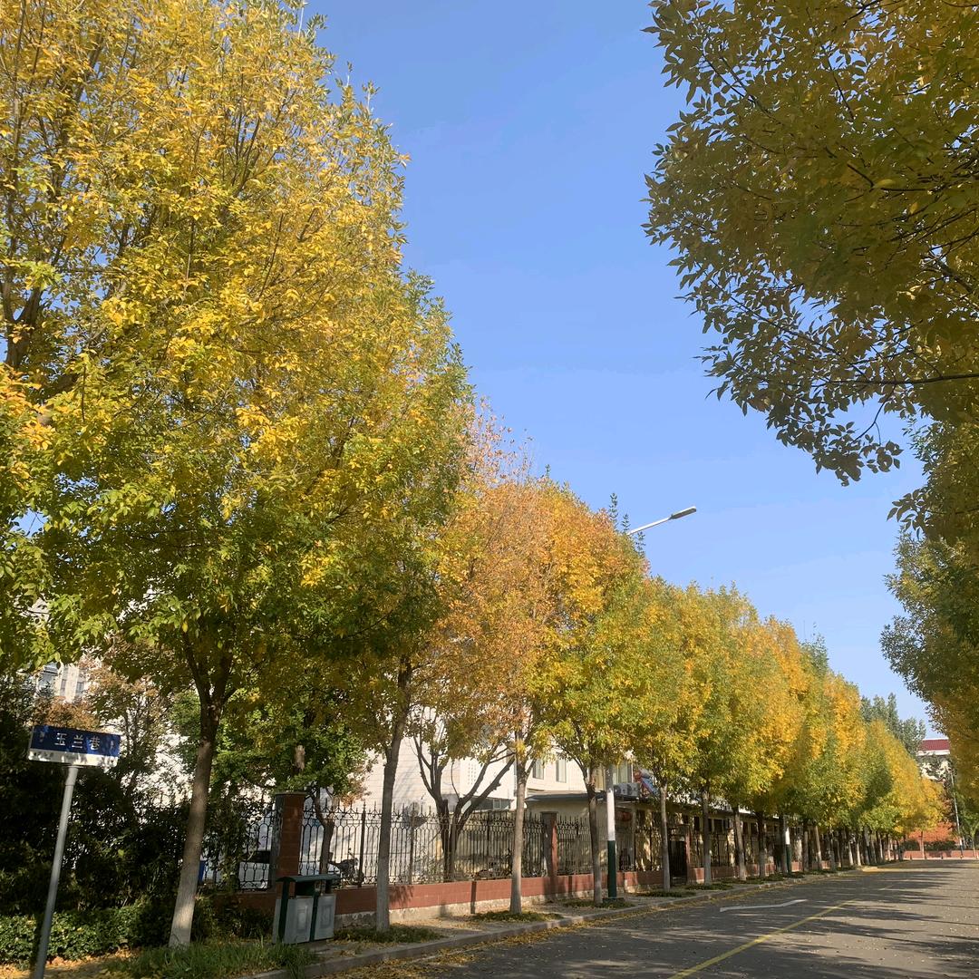 小碗