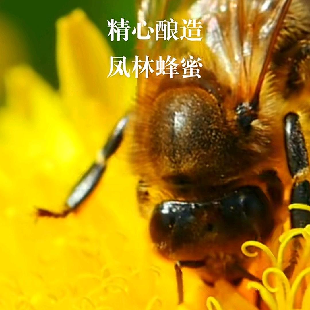 凤林蜂蜜